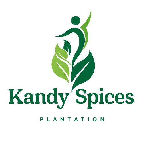 Kandy Spices Logo